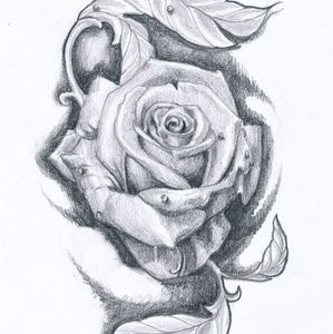 Meet your Posher, Rhiannon